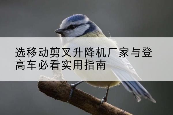 黄浦区电动升降机厂家-选移动剪叉升降机厂家与登高车必看实用指南
