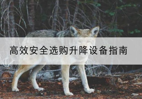 黄浦区升降货梯厂家推荐-*安全选购升降设备指南