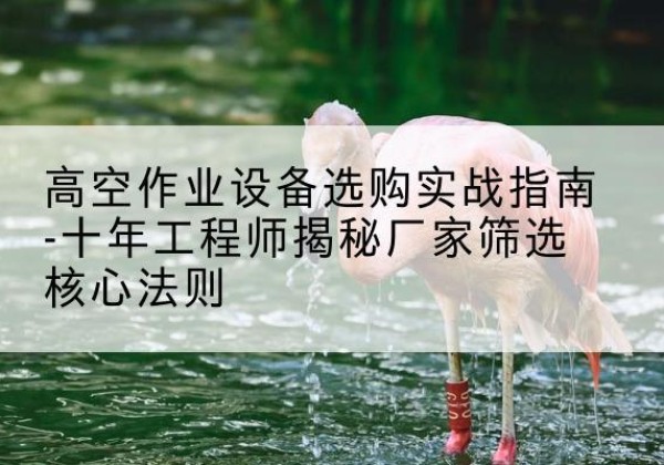 黄浦区剪叉式升降机厂家-高空作业设备选购实战指南-十年工程师揭秘厂家筛选核心法则